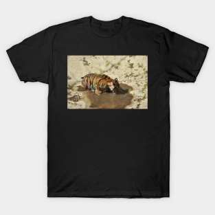 Tiger Cub Drinking T-Shirt